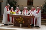 2026.06.28_(37)_40_Jahre_Priesterjubilaeum_Pater_Josef.jpg